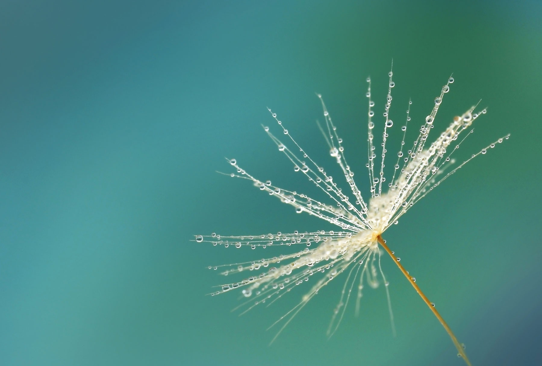 Doehetzelf Nalatenschap